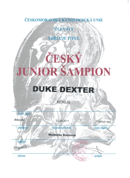 Česk� junior šampi�n