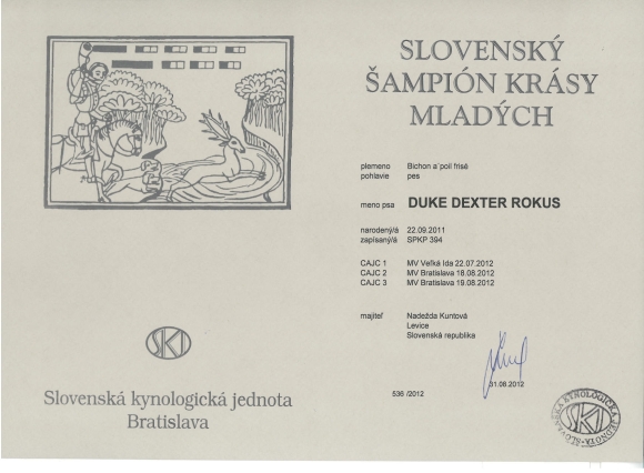 Slovensk� junior šampi�n